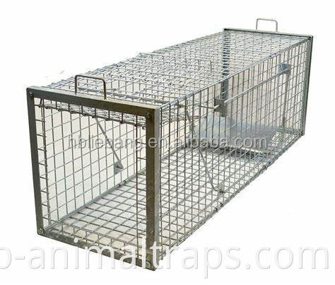 Горячая распродажа в прямом эфире Liebang Heavy Duty 60x18x20 дюйма Fox Wild Baor Cage Trap на продажу